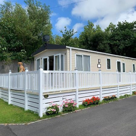 Mollys Retreat Pet Friendly Three Bed Caravan With Small Garden Newquay Bay Resort Quieter Area Of Park Kültér fotó