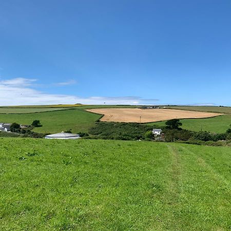 Mollys Retreat Pet Friendly Three Bed Caravan With Small Garden Newquay Bay Resort Quieter Area Of Park Kültér fotó